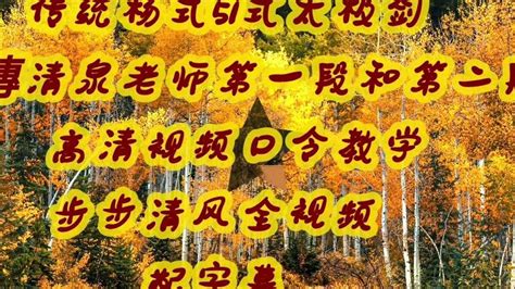 传统杨式51式太极剑 高清 第一段和第二段全视频配字幕 傅清老师口令教学