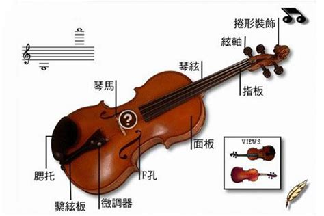 小提琴各部件称谓_乐器百科_中音在线