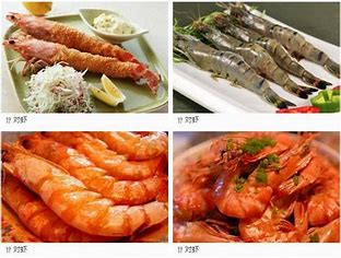 葫芦岛网站优化超值套餐 的图像结果