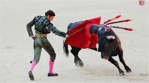 西班牙斗牛士被公牛顶飞 场面惊险万分（图）|斗牛士|公牛_凤凰资讯