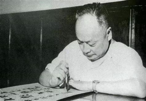 组照：陈毅风采（1919年——1965年）