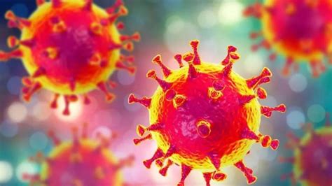 为什么新冠状病毒COVID-19如此容易在人与人之间传播？ - 美格生物，领先的IVD分子检测技术提供商！