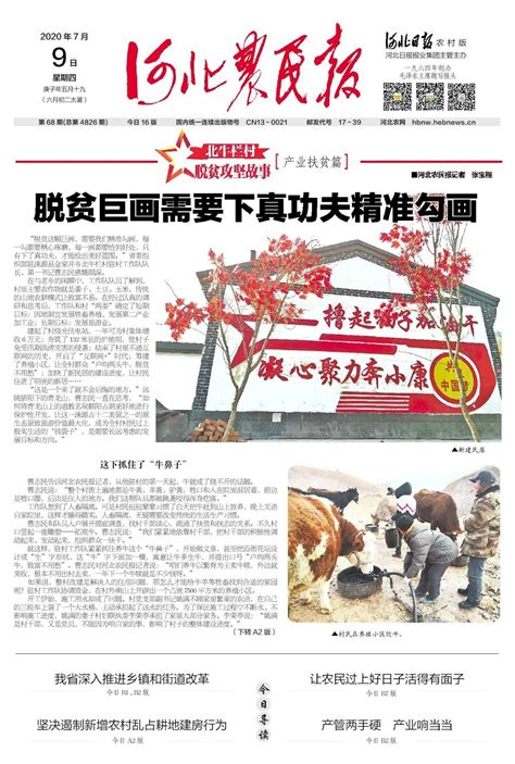 广平县举办农民互联网拥民套餐小麦观摩会-原河北农民报官网