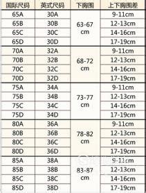 罩杯ABCD怎么分大小_酷知经验网