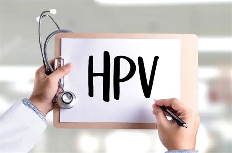 HPV病毒是什么意思_中华康网
