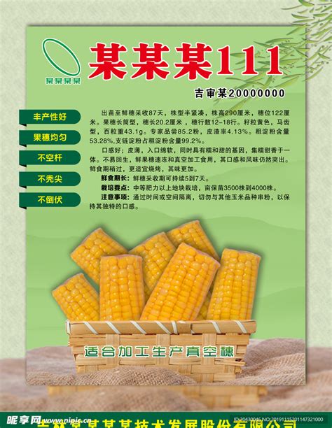 玉米种子宣传页设计图__广告设计_广告设计_设计图库_昵图网nipic.com