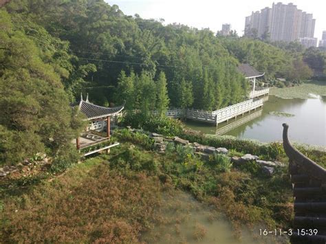 2022狮子山景区游玩攻略,狮子山其实在南京众多的景点...【去哪儿攻略】