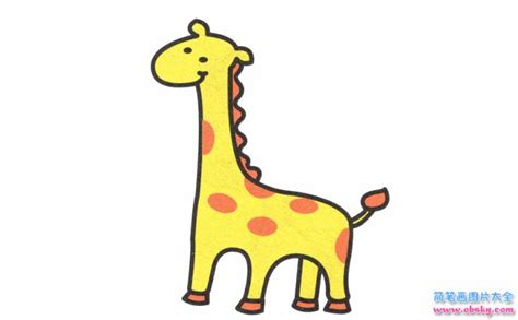 长颈鹿简笔画画法_怎么画长颈鹿的简笔画 - 简笔画动物 - 儿童简笔画图片大全