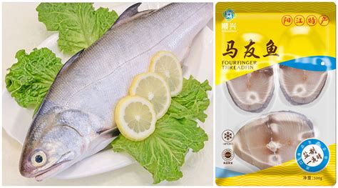 冷冻鲜鱼系列_产品中心_广东顺欣海洋渔业集团有限公司