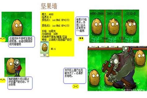 原始坚果墙图片