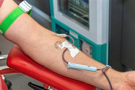 献血图片大全-献血高清图片下载-觅知网