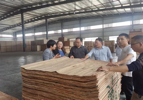 贵州榕江抢抓机遇推进木材产业提档升级-中国木业网