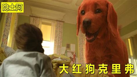 《大红狗克里弗》一只被收养的红色流浪小狗，一夜之间长得比人还高，这是什么神奇事件！_高清1080P在线观看平台_腾讯视频
