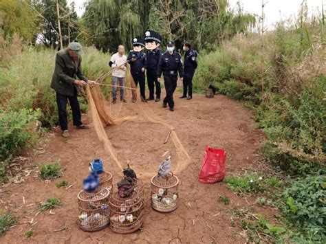 警方查获非法猎捕鸟案 查获野生动物红隼1只斑鸠29只|警方|查获-社会资讯-川北在线