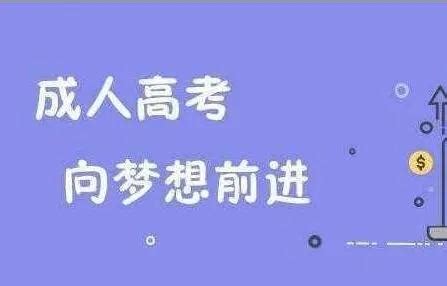 成人高考成绩查询官方，成人高考成绩查询密码忘记如何查询？-成人学历-学历提升-启航培训网