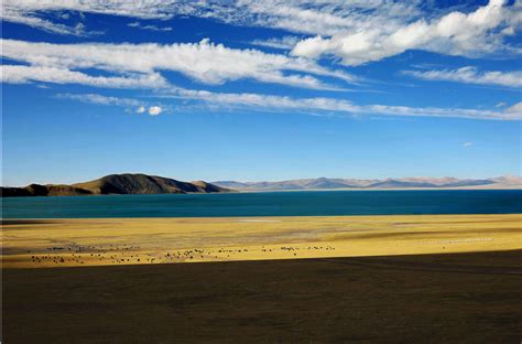 羌塘草原是西藏面积最大的纯天然草原，是中国最美六大草原之一|精灵|羌塘草原|草原_新浪新闻