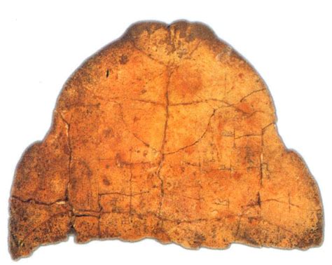中国最早的文字: 甲骨文-考古中国-图片