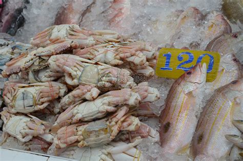 新鲜的海鲜冰鱼市场新鲜的鱼红色的斯内普销-包图企业站
