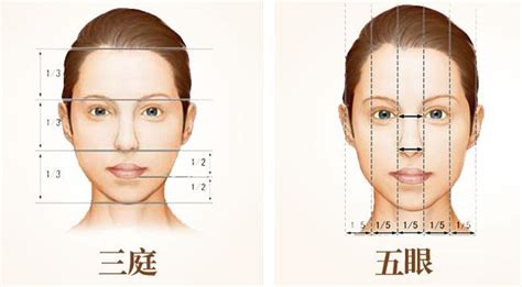 人物脸型画法及脸部结构比例 - 学院 - 摸鱼网 - Σ(っ °Д °;)っ 让世界更萌~ mooyuu.com