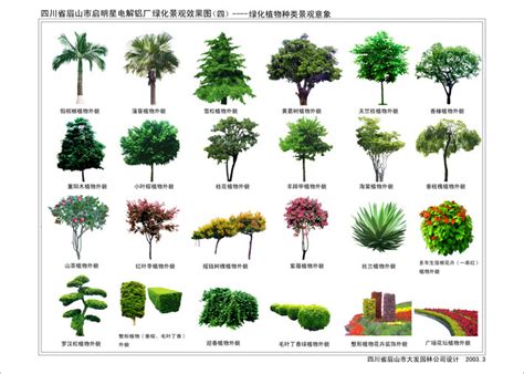 园林植物树木参考图片PSD素材免费下载_红动中国