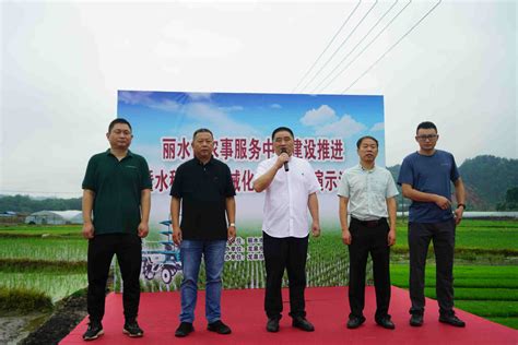 丽水举办水稻栽植机械化装备推广演示活动 | 农机新闻网