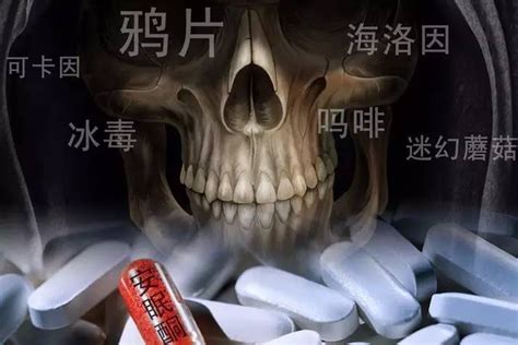 传统毒品和新型毒品种类大全_中国网