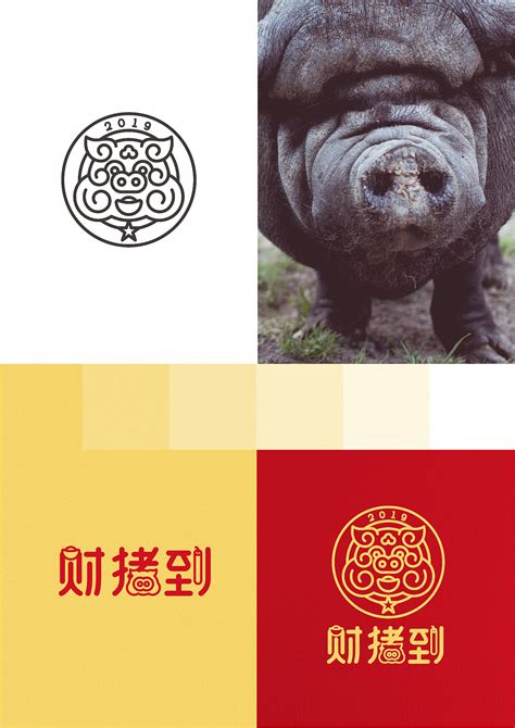 2019 财猪到 猪年利是封设计|平面|品牌|LDG品牌包装设计 - 原创作品 - 站酷 (ZCOOL)