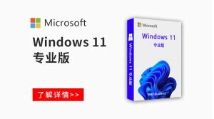 正版Microsoft windows11 产品详情|价格|购买