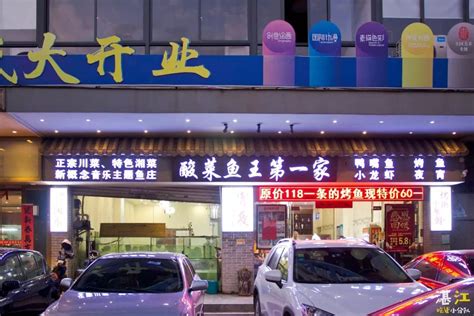 最火鱼店店名,高雅不俗的鱼店名字,有创意的烤鱼店名字_大山谷图库