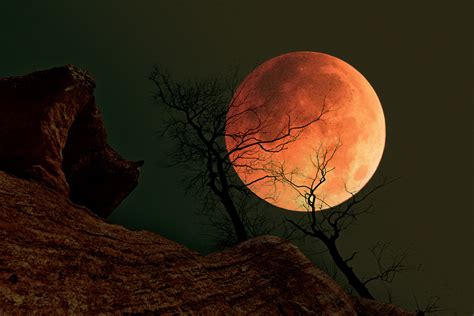 百年难得一见的“血月” 今晚你看了么？|界面新闻 · 图片