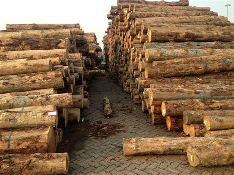 新繁木材市场,木材市场,东阳木材市场_大山谷图库