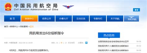 最新！中国民航局发出熔断指令 | 每日经济网
