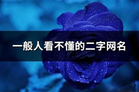这个一般人看不懂吧——找死的兔子图片