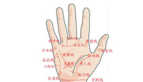 女生手掌纹路图解图片 女生手掌纹路图解图片