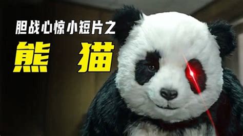 这个大熊猫脾气非常的暴躁，他喜欢被人需要_腾讯视频