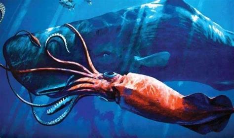 海底1万米有未知巨型生物？|海底|生物|海洋生物_新浪新闻