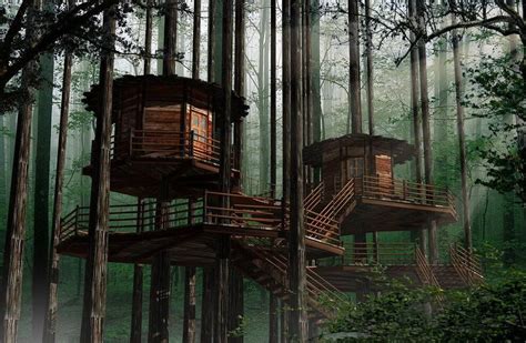 森林木屋|空间|建筑设计|韶华SH - 原创作品 - 站酷 (ZCOOL)