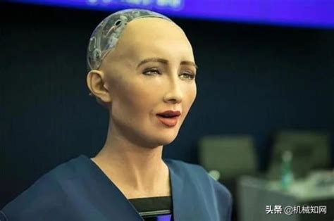 世界上最先进的机器人叫什么(2022年世界上最顶尖的机器人)-海诗网