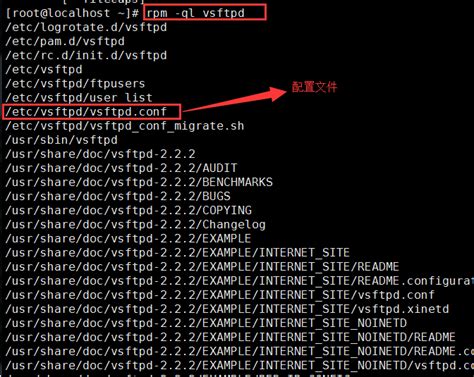 Linux中搭建FTP服务器技术详解_润天教育