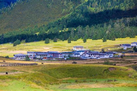 7月份暑假来了，去西藏旅游不要错过林芝！7月份的林芝该怎么玩？7月份去林芝的游玩攻略 - 知乎