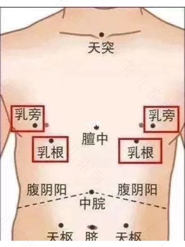 乳腺结节按哪个穴位 乳腺结节按摩哪个部位- 育儿指南