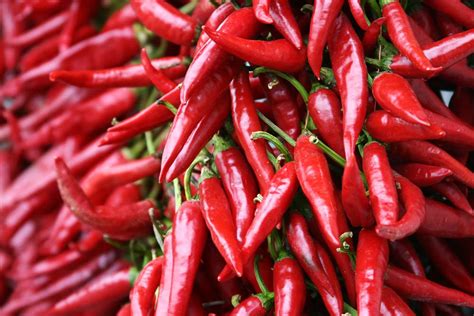 详解8种辣椒的特点和用法，做辣椒油、火锅底料要用到，值得收藏|辣椒|用法|辣椒油_新浪新闻