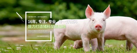 【技术】种猪引种的要求是什么？_天津市圆鼎饲料有限公司