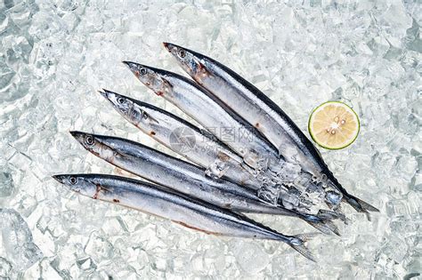 【秋刀鱼是海鱼吗】【图】秋刀鱼是海鱼吗 怎么烹饪_伊秀美食|yxlady.com
