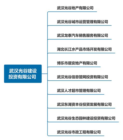 武汉光谷信息光电子创新中心有限公司 - 企业网站 - 武汉网站建设_网站设计_网站制作_小程序开发-金百瑞公司