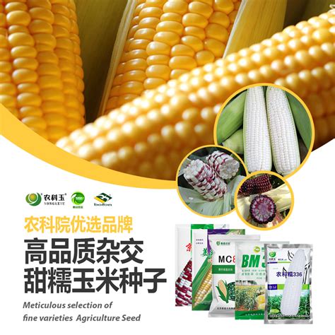 农业种子包装设计—玉米包装袋_青柠x-站酷ZCOOL