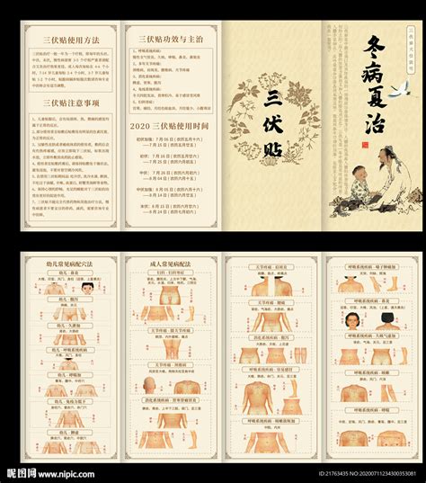 三伏贴位置示意图图片 三伏贴位置示意图图片