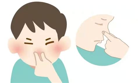 鼻腔内部结构3D动画展示：你知道你的鼻子里面有这么多小东西吗？_新浪新闻