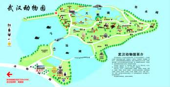 武汉动物园和武汉九峰森林动物园哪个更好玩 - 旅游资讯 - 旅游攻略