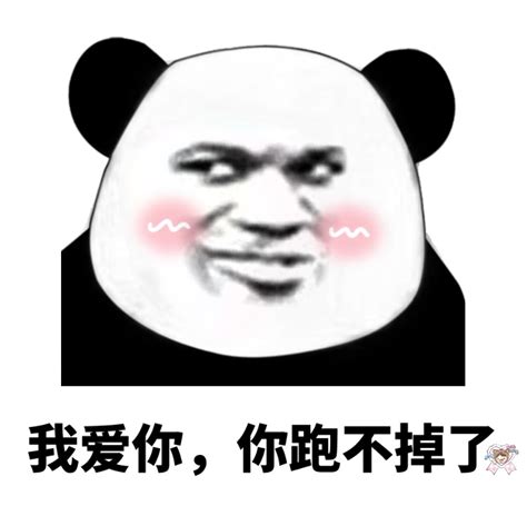 看不到我 - 斗图大会 - 表情包、社会、斗图啦、斗图表情库 - 真正的斗图网站 - dou.yuanmazg.com